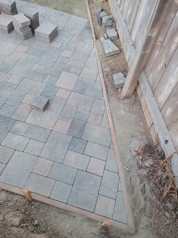 Custom yard cleanup service for beautiful yards across San Diego, CA - Alvarez And Sunz Landscape