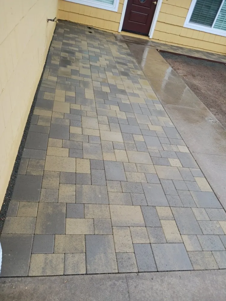 Affordable landscape design for year-round maintenance in San Diego, CA by Alvarez And Sunz Landscape