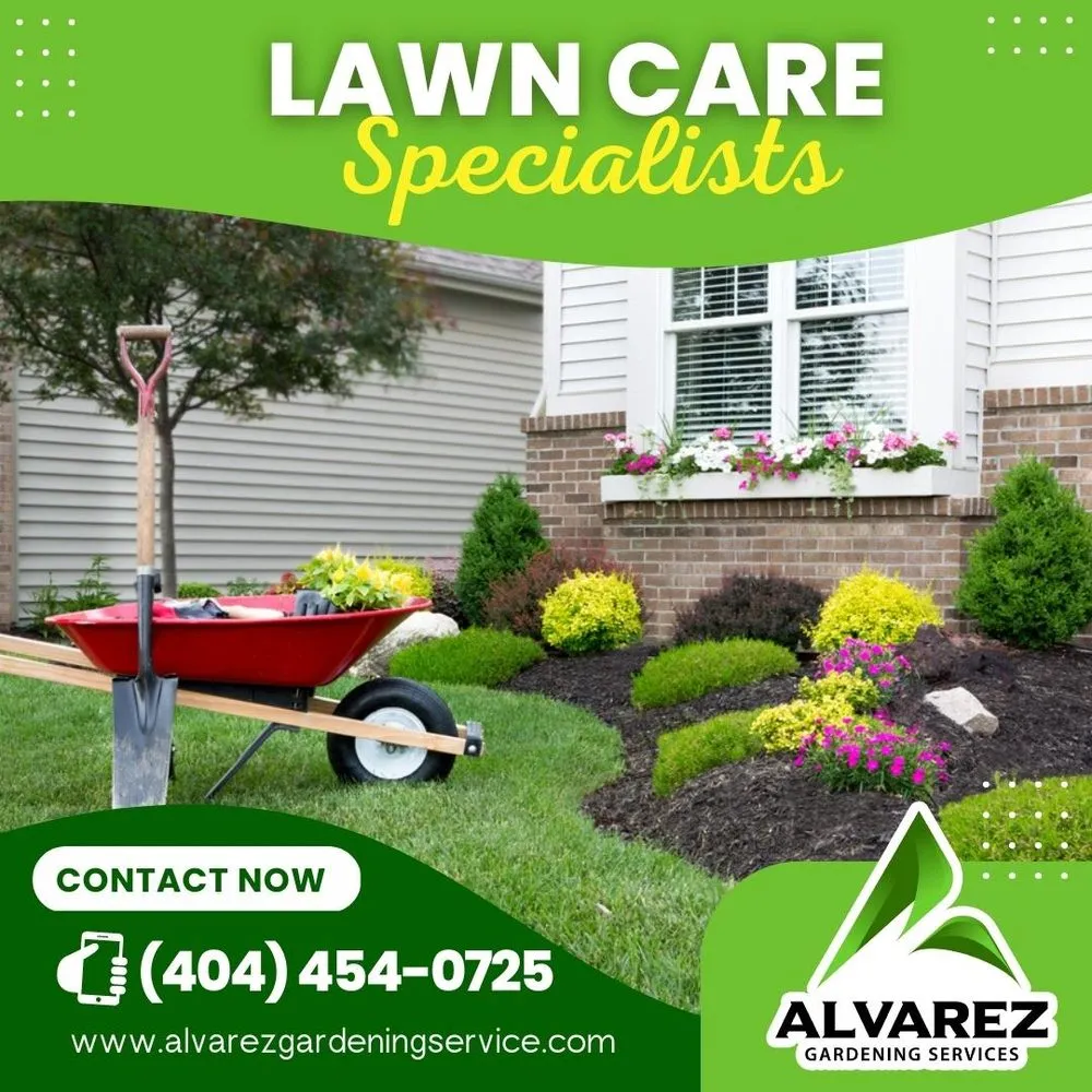 Expert yard maintenance in Stone Mountain, GA by Alvarez Gardening Service