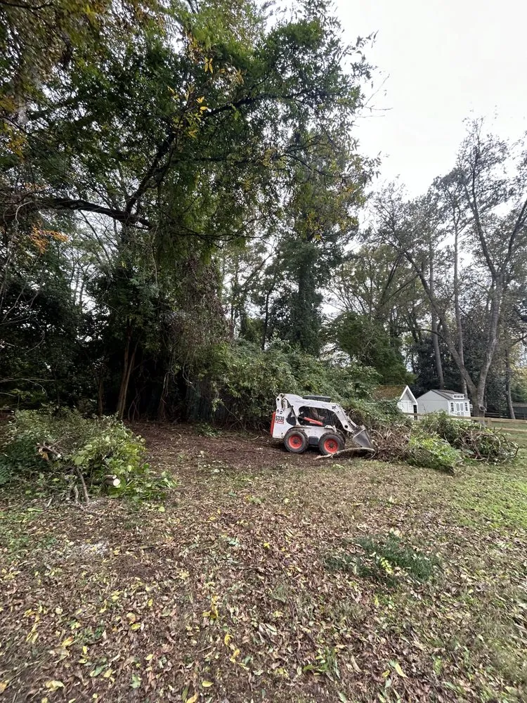 Trusted yard maintenance in Chester, SC by Alvarez Landscape Service