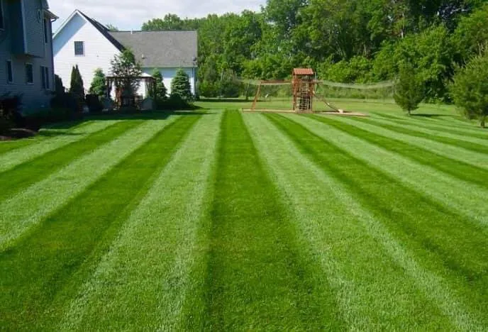 Local outdoor landscaping in Chester, SC by Alvarez Landscape Service