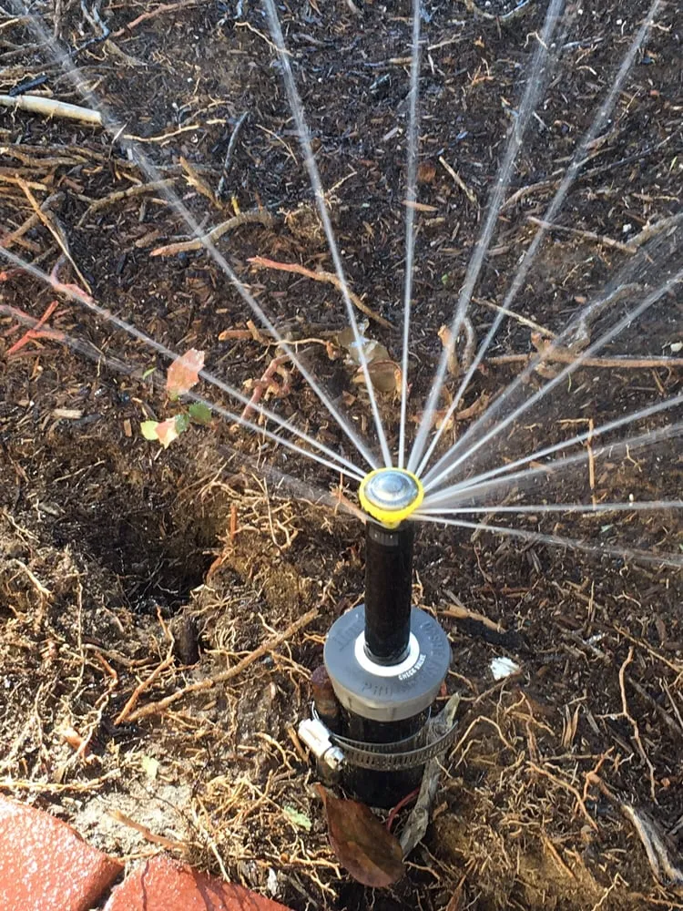 Top-rated landscape design in Torrance, CA - Alvarez Landscape