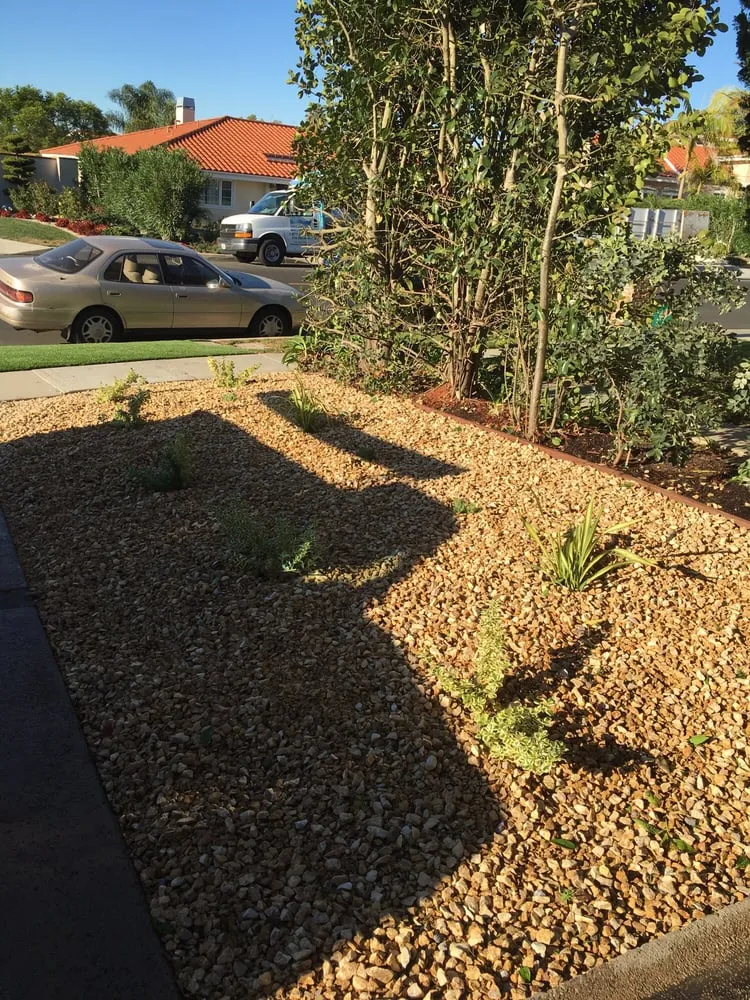 Custom landscaping services experts serving Torrance, CA - Alvarez Landscape