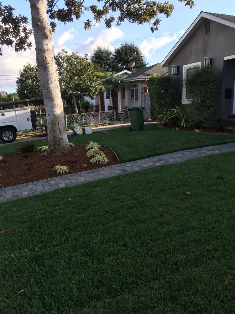 Expert residential landscaping in Torrance, CA - Alvarez Landscape