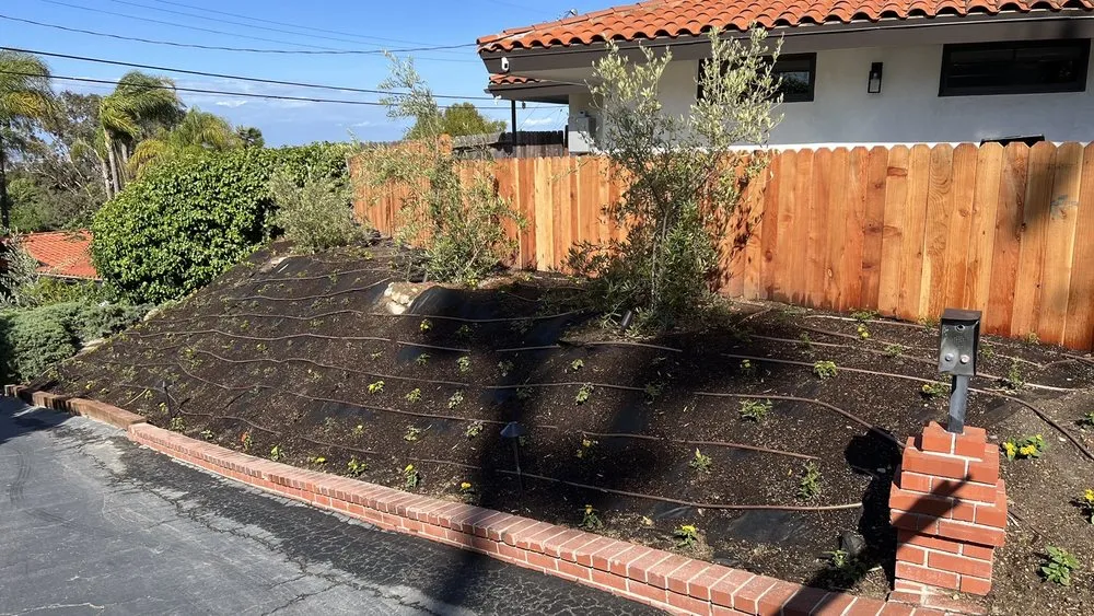 Top-rated lawn care service in Torrance, CA by Alvarez Landscape