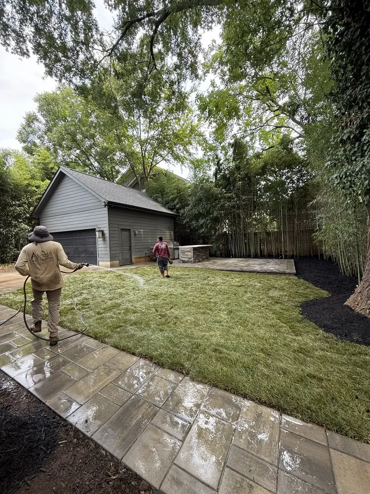 Reliable yard cleanup service in Concord, NC by Alvarez landscapes
