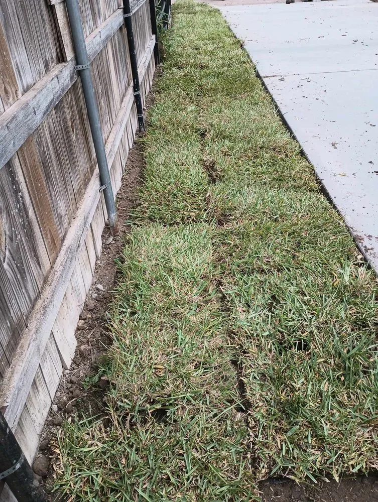 Affordable residential landscaping for year-round maintenance in Alamo, TX by Alvarez Landscaping