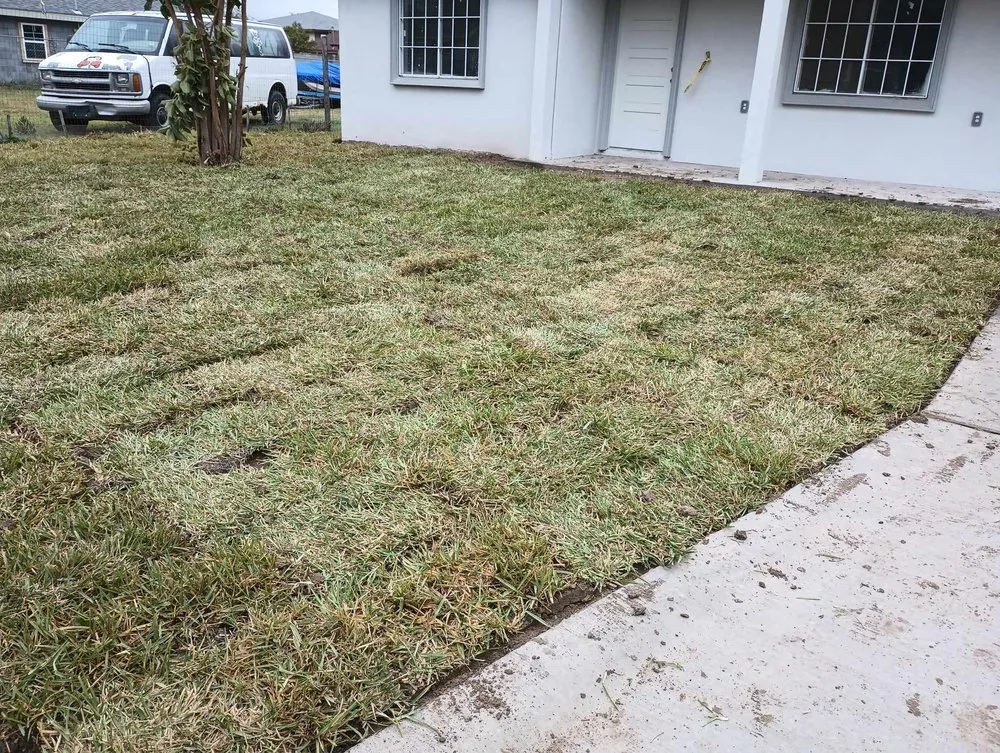 Local yard cleanup service near you across Alamo, TX - Alvarez Landscaping