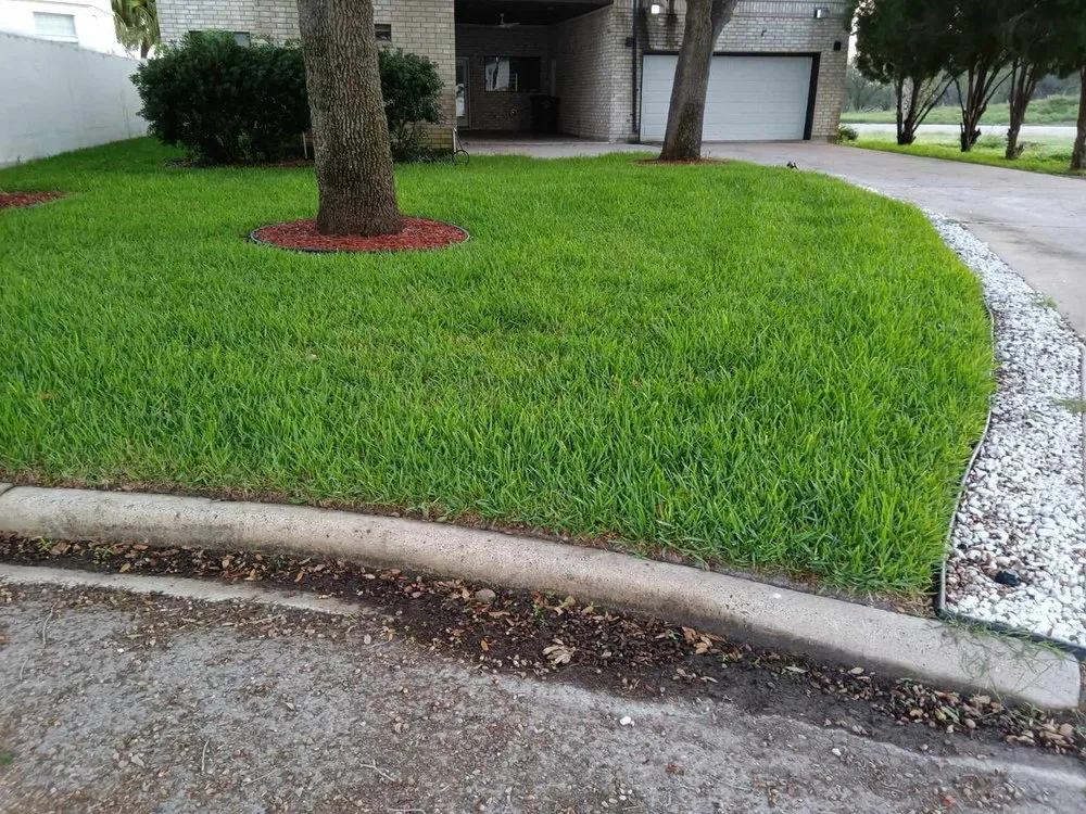 Top-rated residential landscaping in Alamo, TX by Alvarez Landscaping