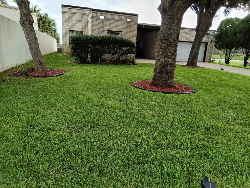 Custom landscaping services in Alamo, TX by Alvarez Landscaping