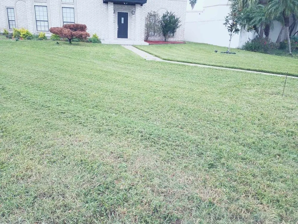 Reliable landscape design in Alamo, TX - Alvarez Landscaping