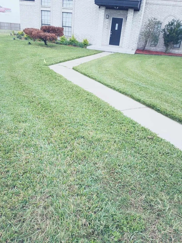 Professional yard maintenance in Alamo, TX by Alvarez Landscaping