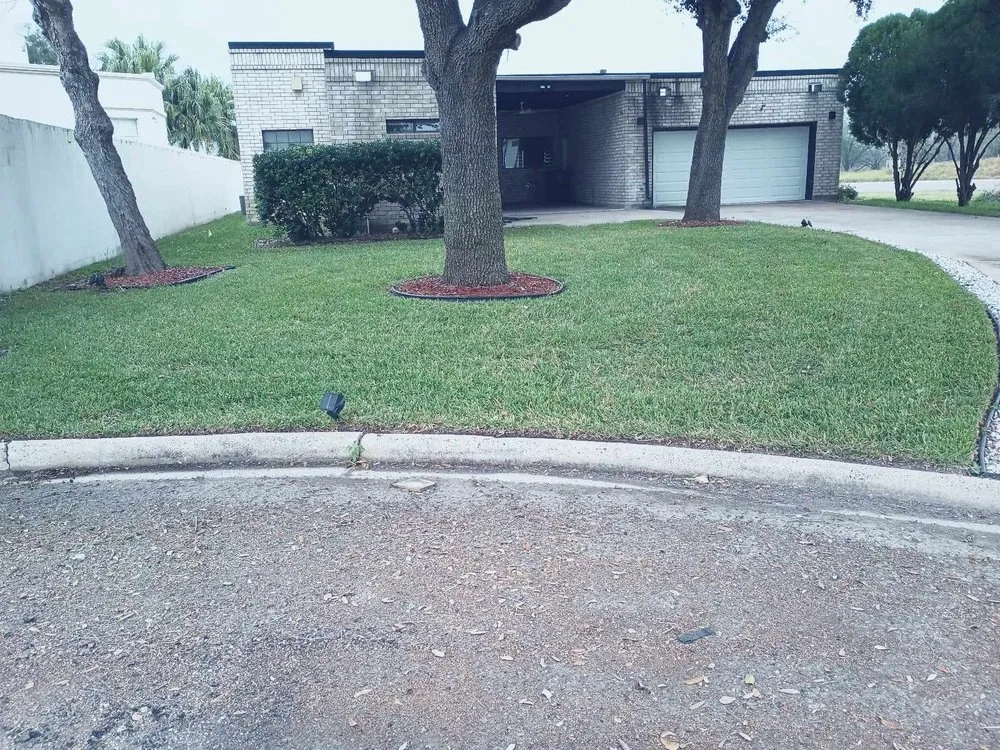 Expert yard cleanup service experts serving Alamo, TX - Alvarez Landscaping