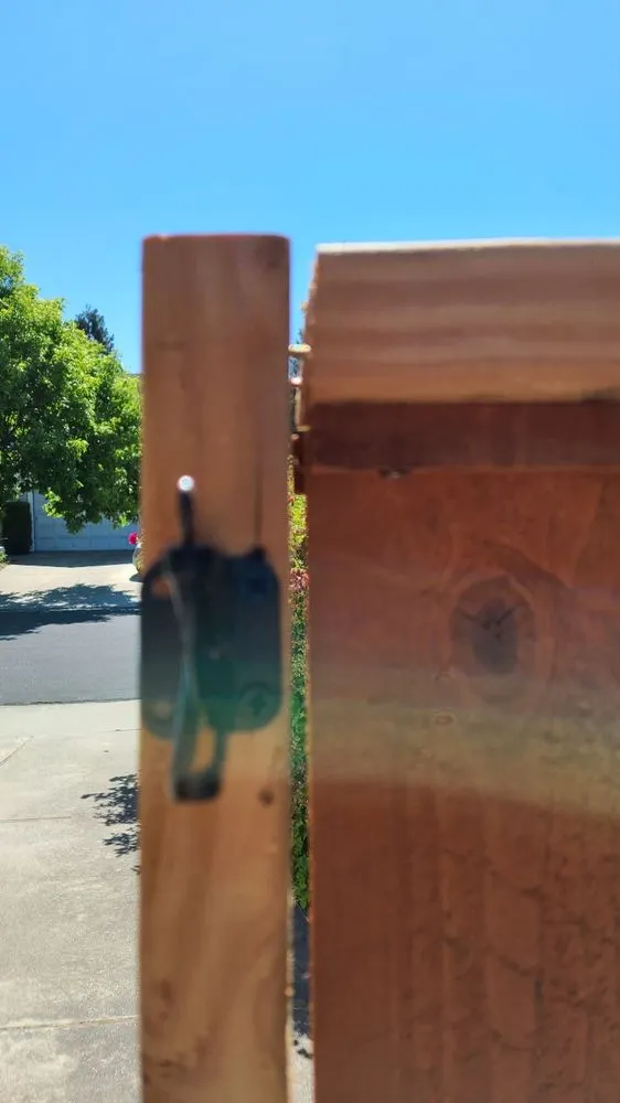 Local yard cleanup service for beautiful yards across Hercules, CA - Alvarez Landscaping and Fencing