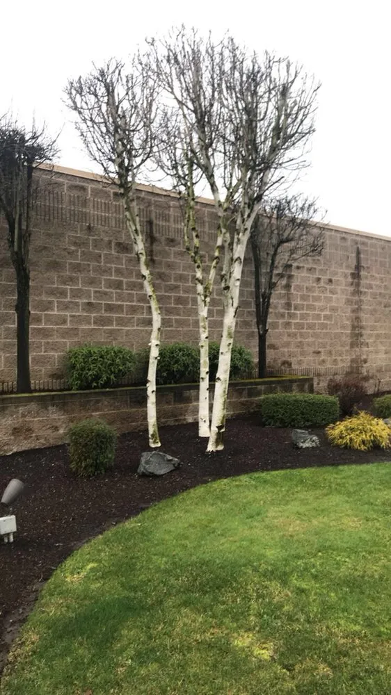 Expert outdoor landscaping experts serving Auburn, WA - Alvarez Landscaping