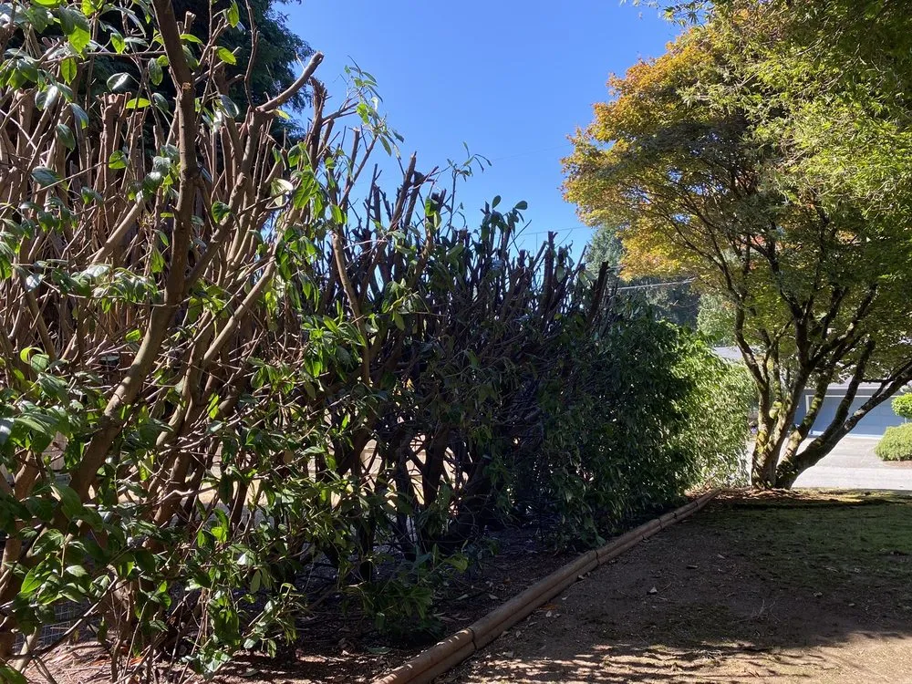 Local outdoor landscaping near you across Auburn, WA - Alvarez Landscaping