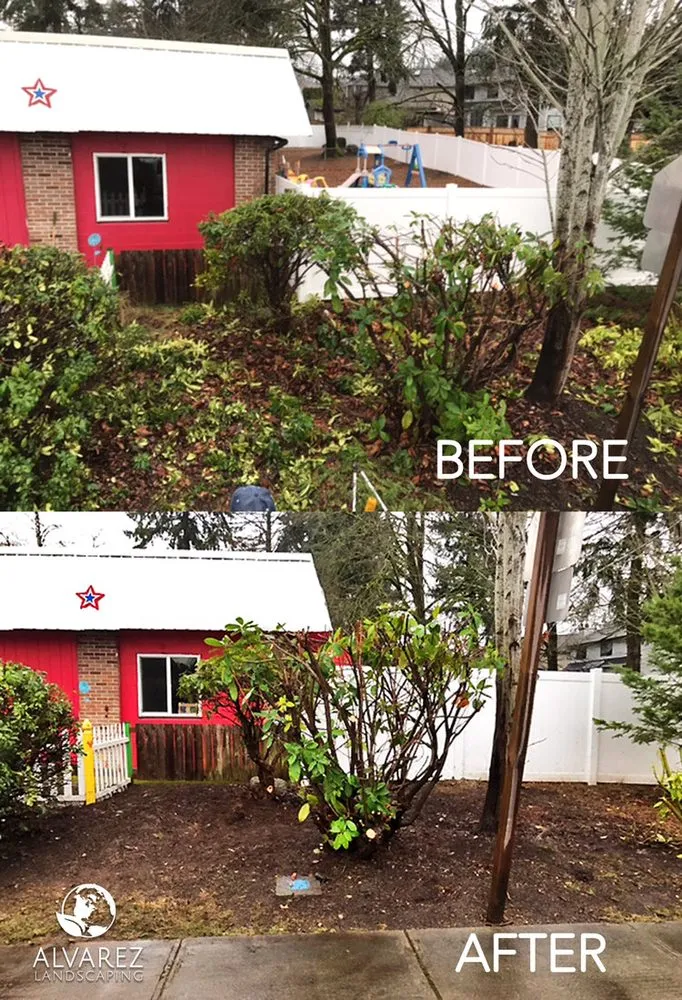 Affordable yard cleanup service in Auburn, WA by Alvarez Landscaping