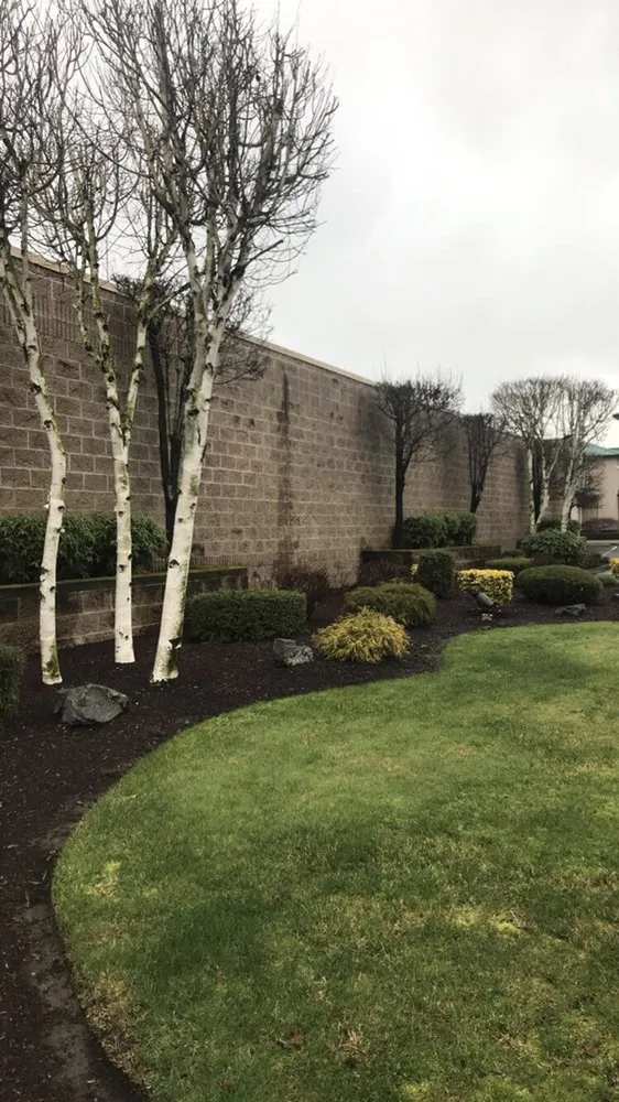 Top-rated garden landscaping for year-round maintenance across Auburn, WA - Alvarez Landscaping