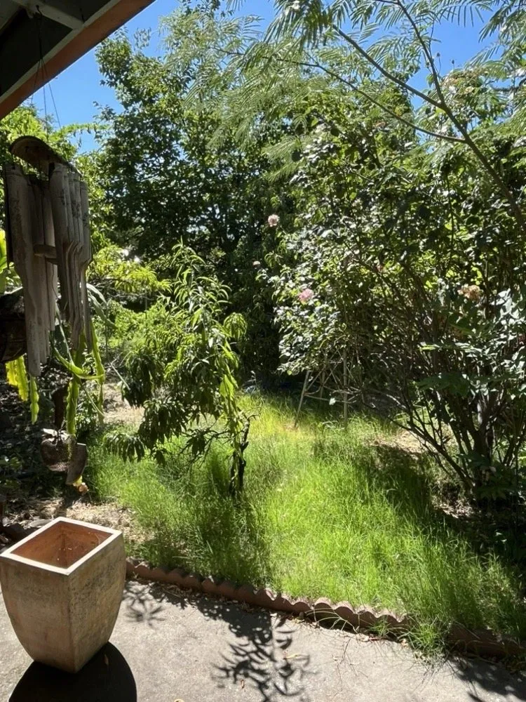 Professional garden landscaping for outdoor upgrades across Carmichael, CA - Alvarez Landscaping