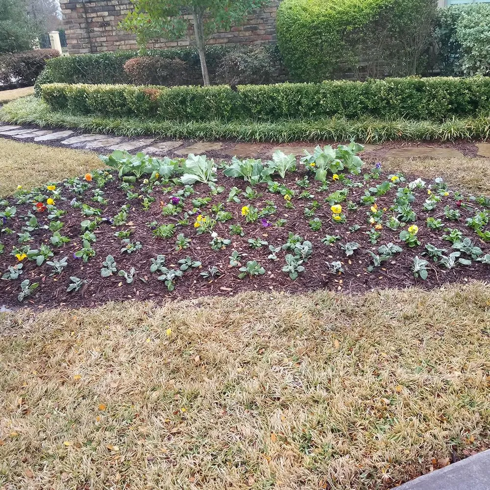 Affordable yard cleanup service in Dallas, TX by Alvarez Landscaping