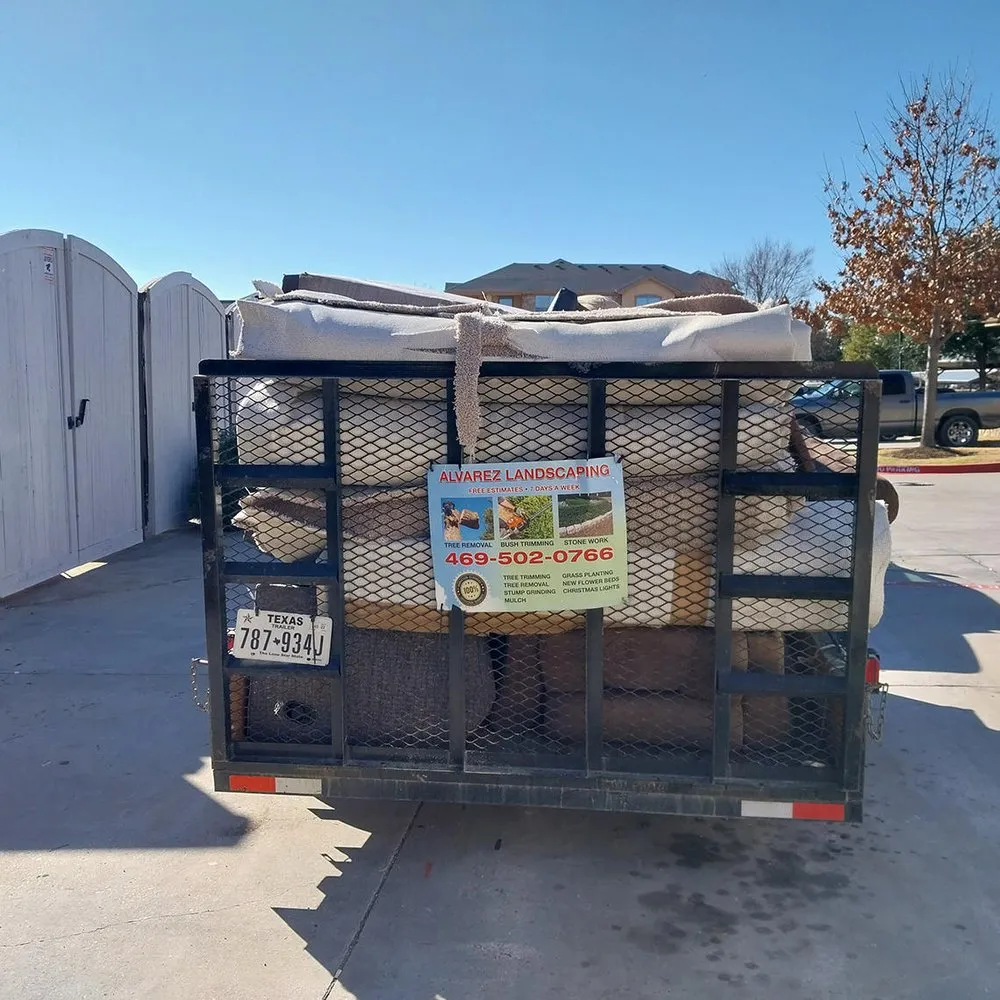 Affordable yard cleanup service experts serving Dallas, TX - Alvarez Landscaping