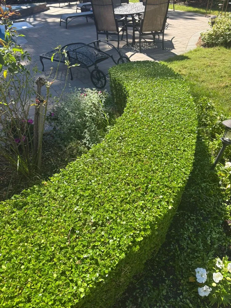 Affordable landscaping services in Hicksville, NY by Alvarez Landscaping