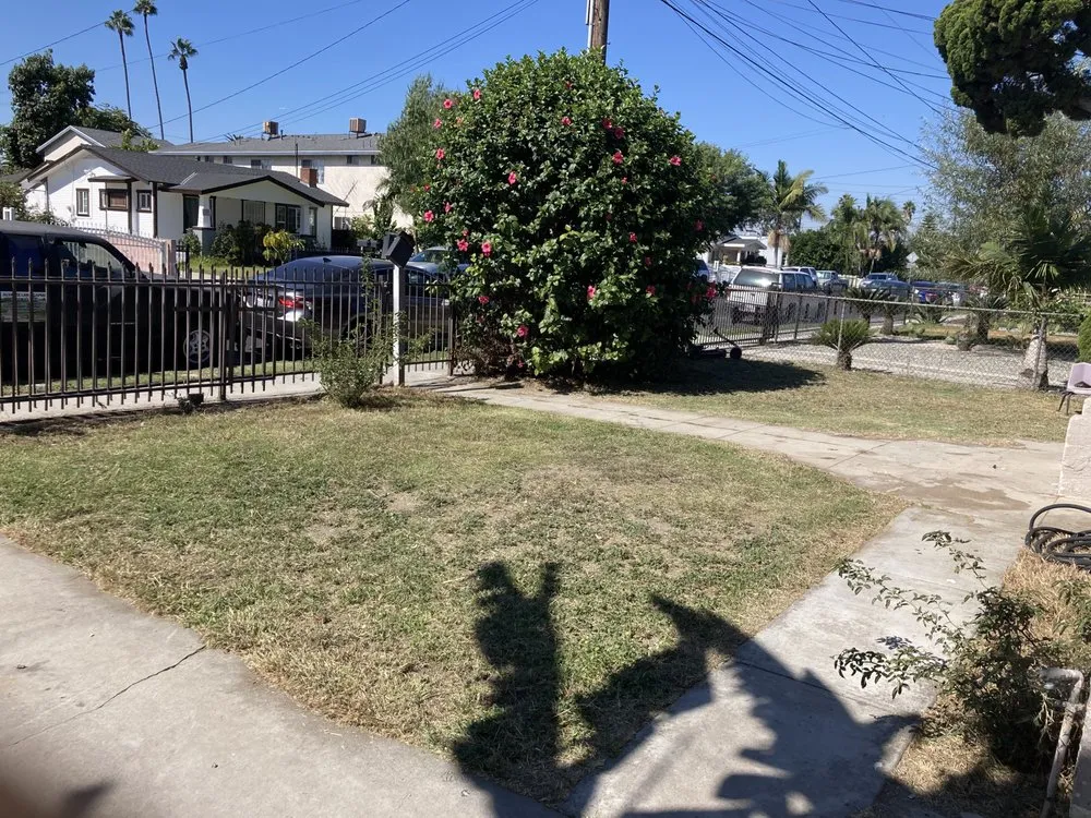 Affordable outdoor landscaping in Inglewood, CA by Alvarez Landscaping