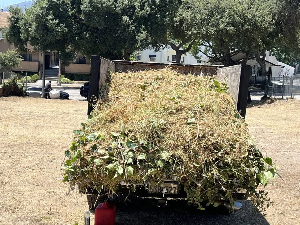 Professional outdoor landscaping with custom design across Inglewood, CA - Alvarez Landscaping