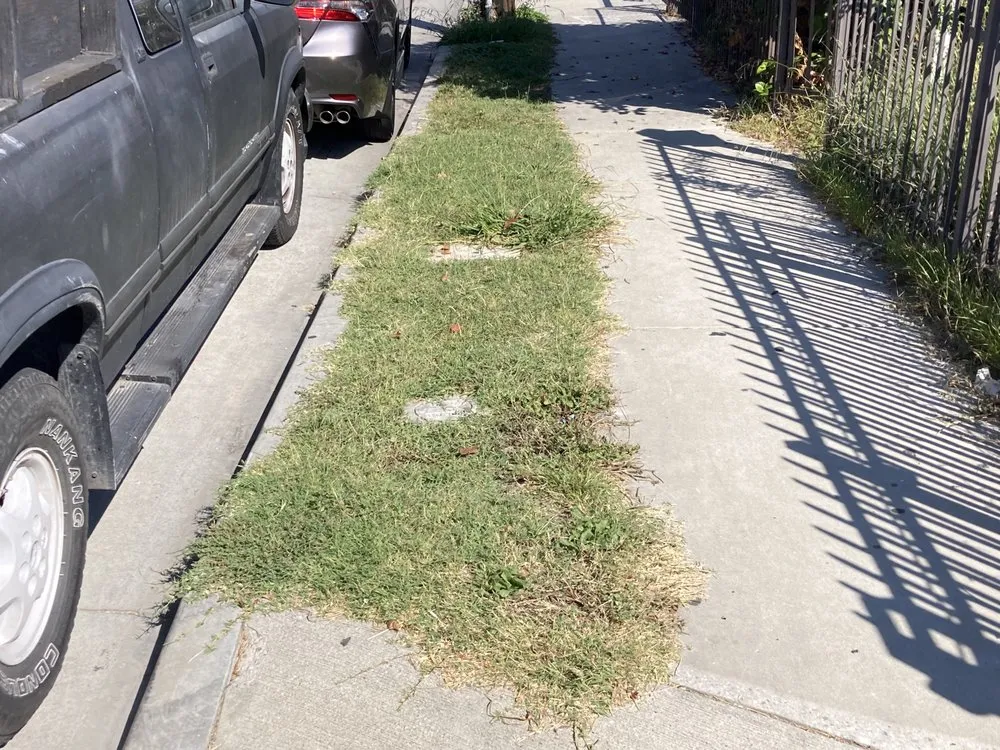 Trusted lawn care service for homes in Inglewood, CA by Alvarez Landscaping