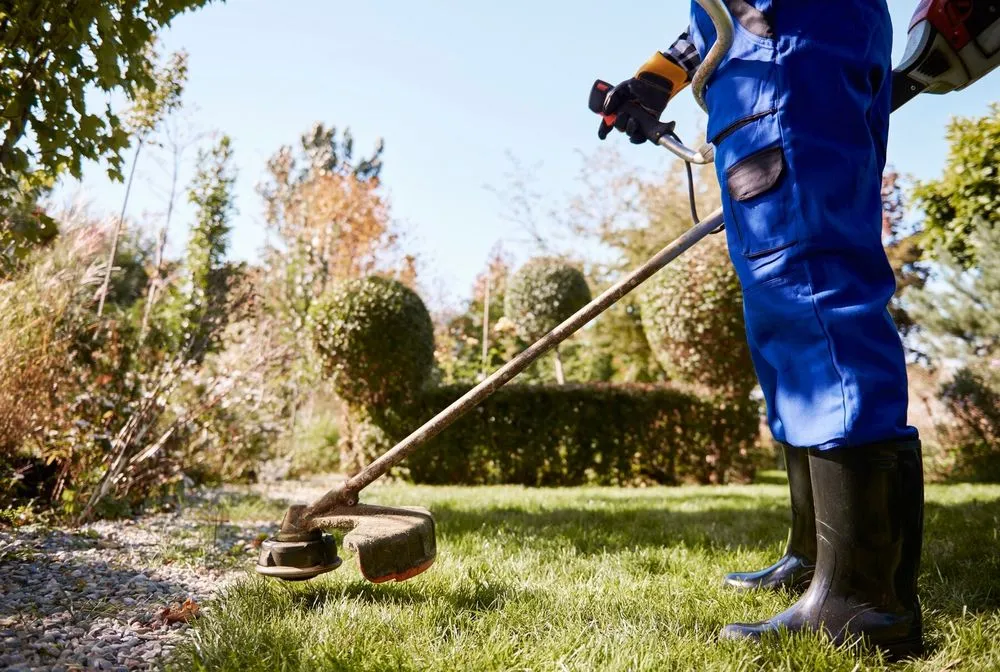 Top-rated yard maintenance experts serving Inglewood, CA - Alvarez Landscaping