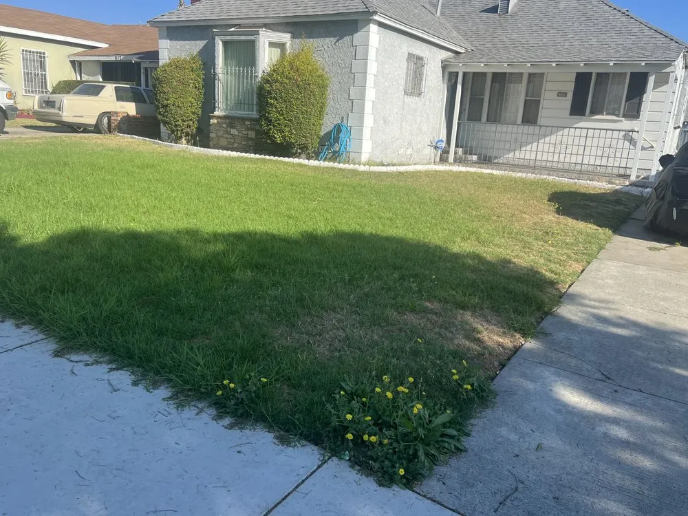 Top-rated landscaping services experts serving Inglewood, CA - Alvarez Landscaping