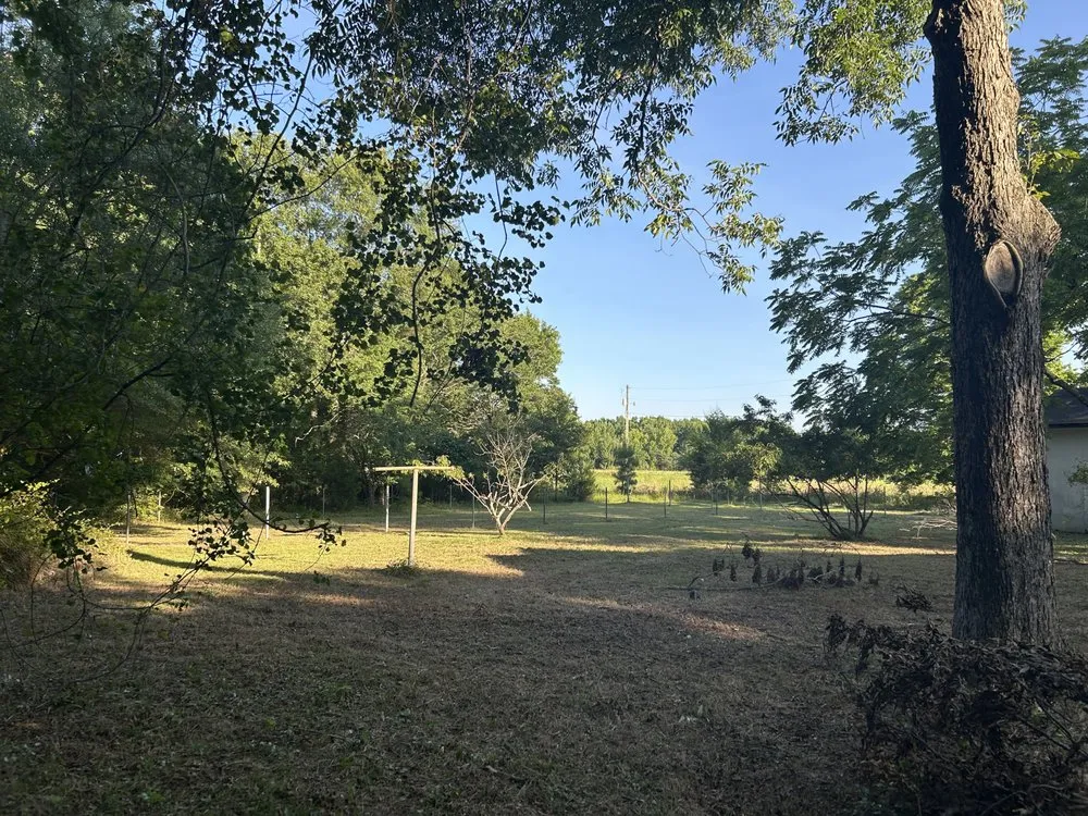 Professional yard cleanup service experts serving Lancaster, SC - Alvarez Landscaping