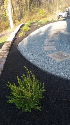 Alvarez Landscaping Maintenance Logo