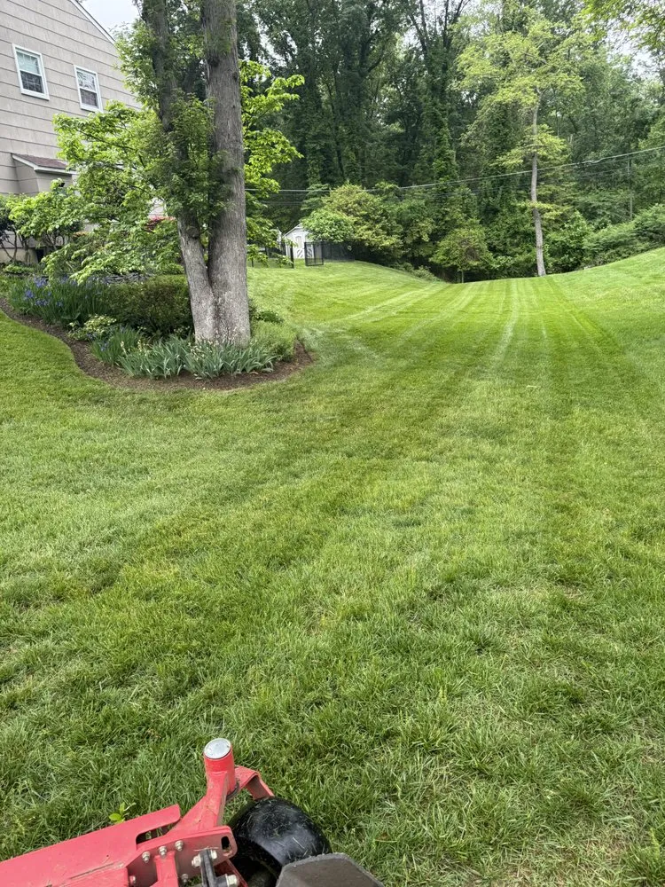 Professional yard cleanup service in Annapolis, MD by Alvarez Landscaping Services