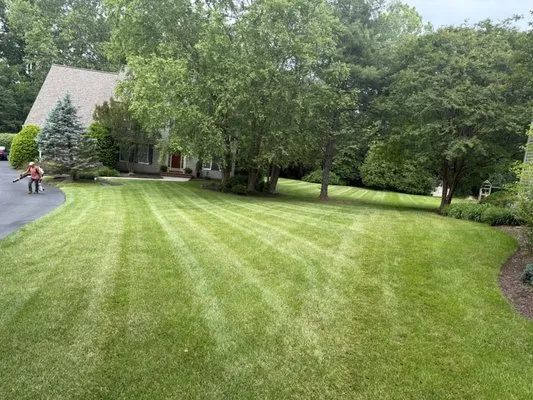 Alvarez Landscaping Services Logo