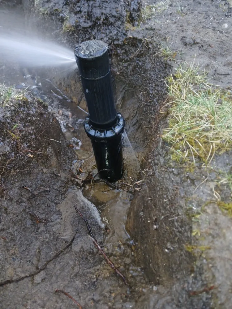 Professional landscaping services near you across Flanders, NY - Alvarez Landscaping Services