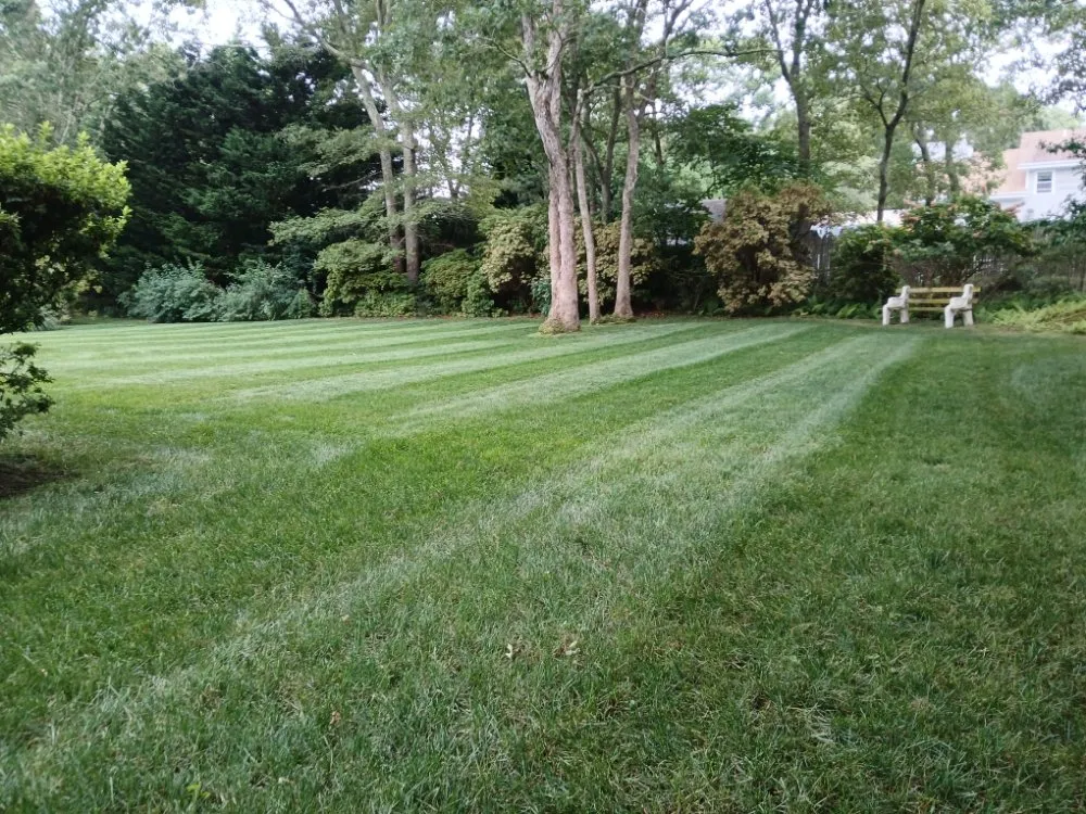 Expert landscaping services in Flanders, NY by Alvarez Landscaping Services