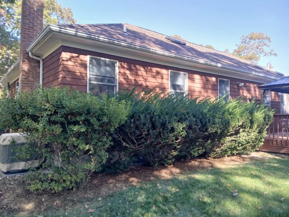 Reliable yard maintenance for beautiful yards in Flanders, NY by Alvarez Landscaping Services