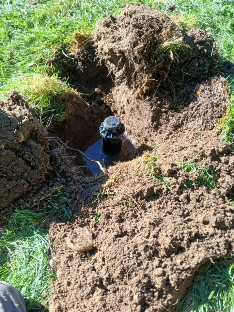 Expert yard cleanup service in Flanders, NY by Alvarez Landscaping Services