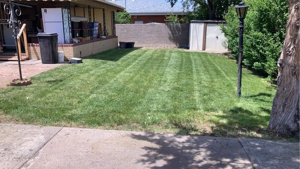 Trusted landscaping services experts serving Evans, CO - Alvarez Lawn Care