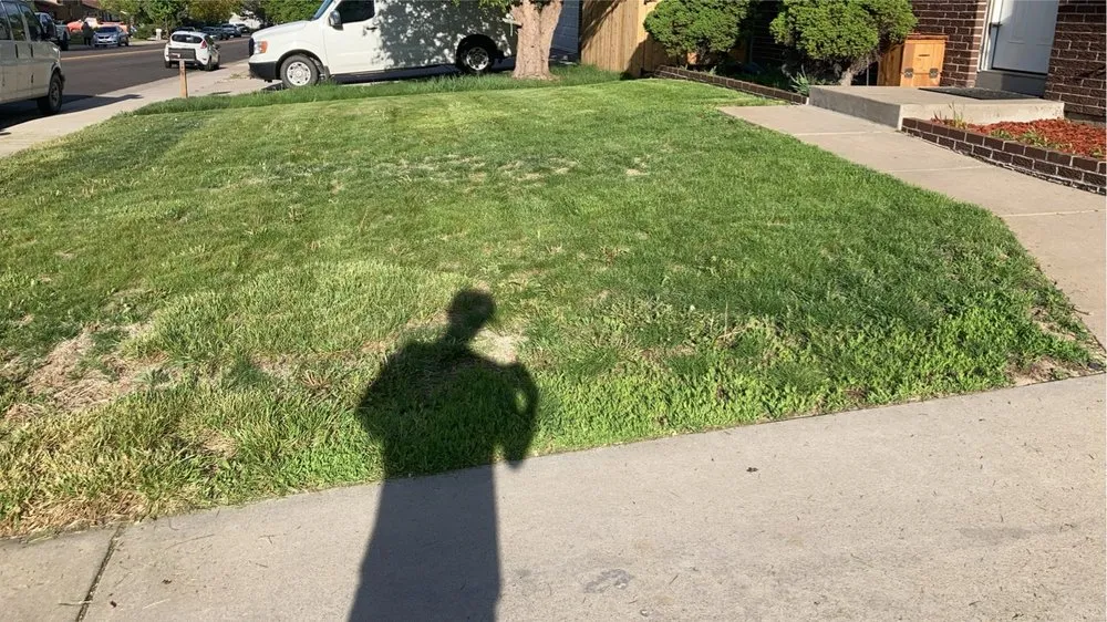 Expert outdoor landscaping experts serving Evans, CO - Alvarez Lawn Care