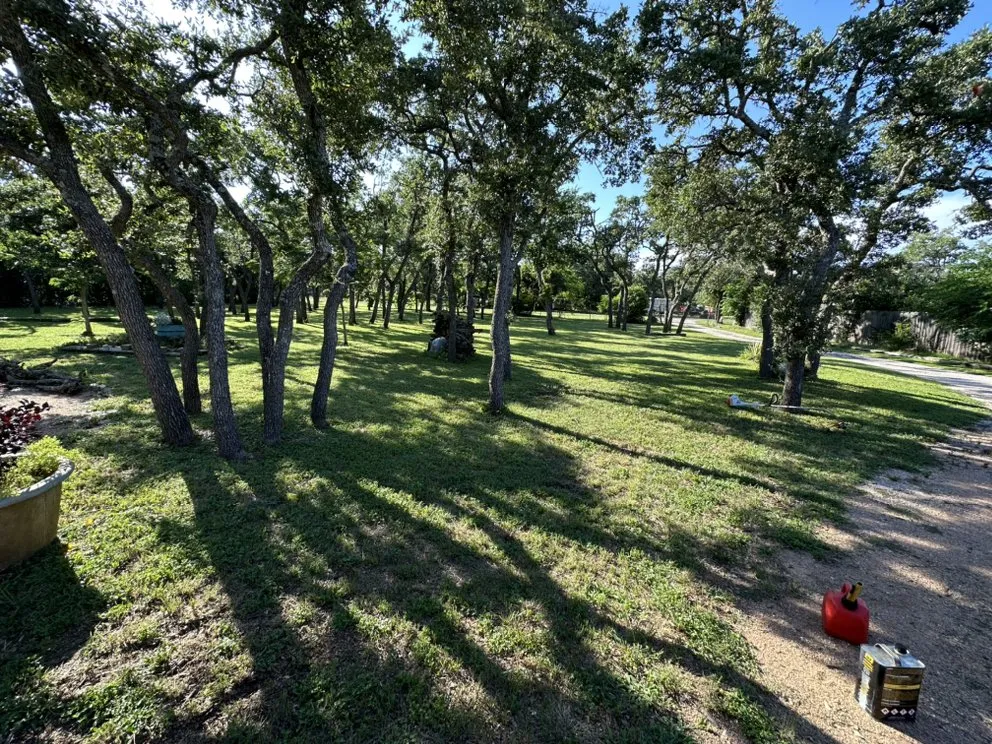 Local landscape design with custom design in Leander, TX by Alvarez Lawn Care Services