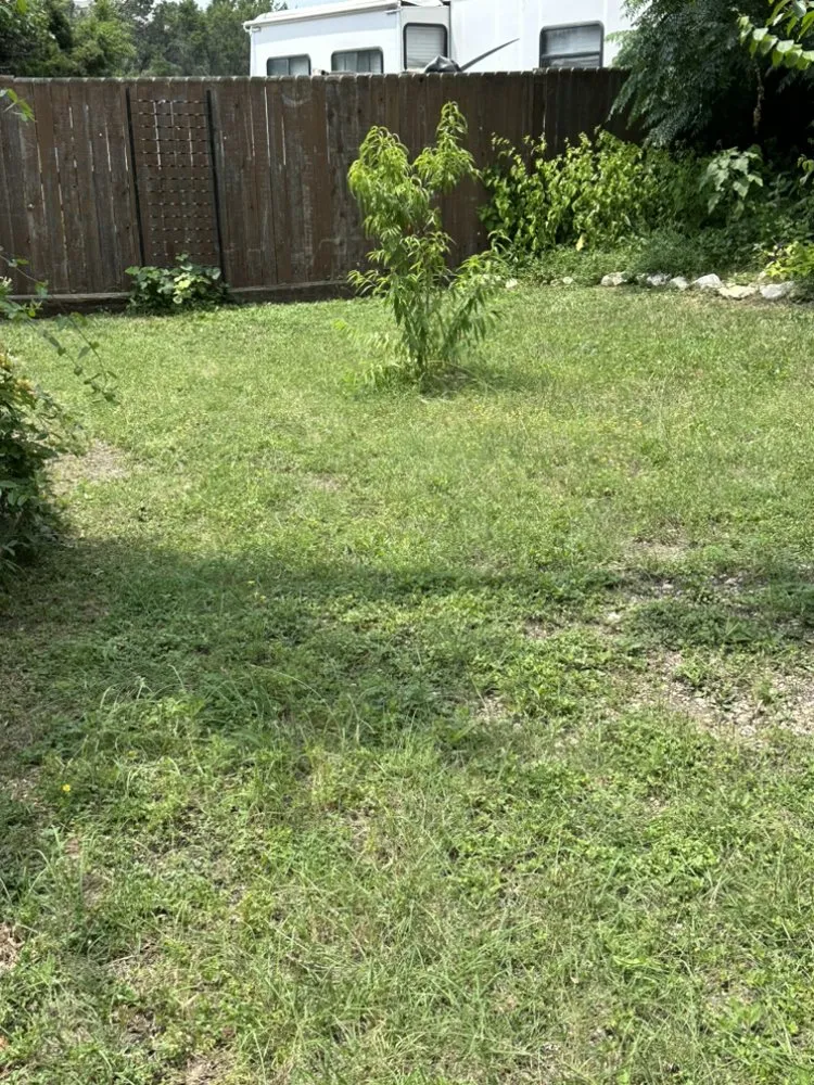 Affordable lawn care service experts serving Leander, TX - Alvarez Lawn Care Services