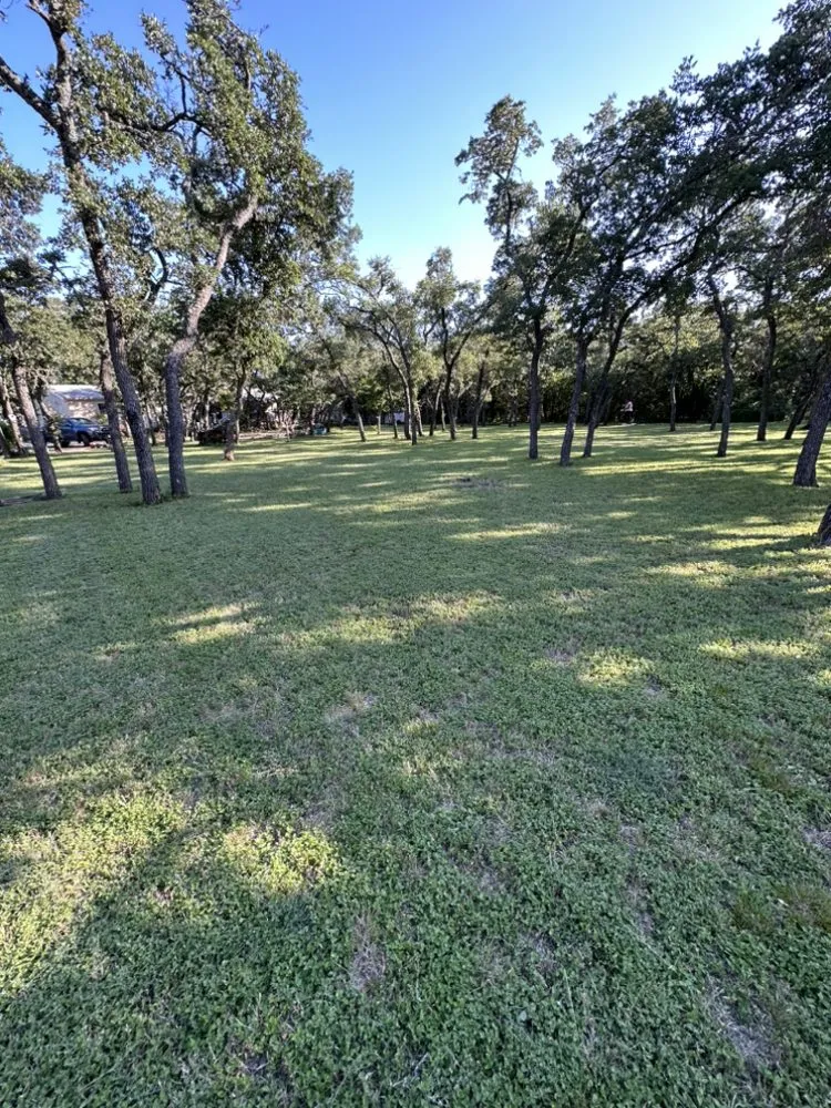 Top-rated landscape design in Leander, TX - Alvarez Lawn Care Services