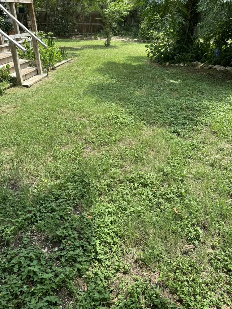 Trusted lawn care service near you in Leander, TX by Alvarez Lawn Care Services