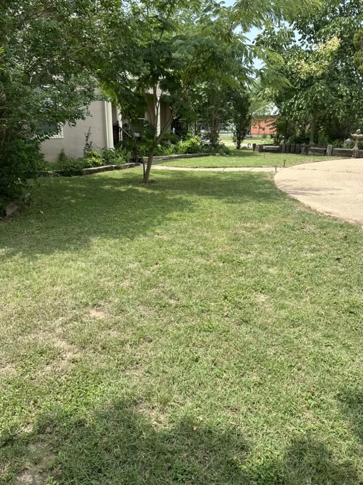 Top-rated residential landscaping near you across Leander, TX - Alvarez Lawn Care Services