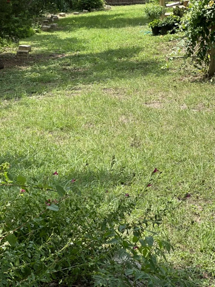 Custom landscape installation in Leander, TX - Alvarez Lawn Care Services