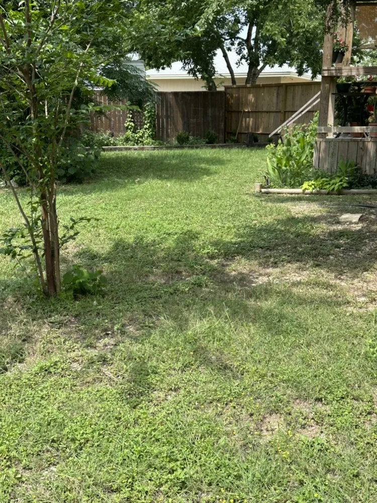 Affordable yard maintenance in Leander, TX - Alvarez Lawn Care Services