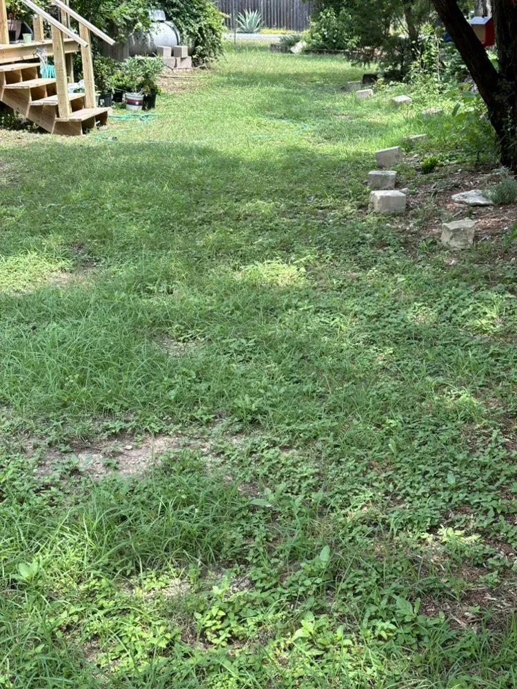 Top-rated landscaping services near you in Leander, TX by Alvarez Lawn Care Services