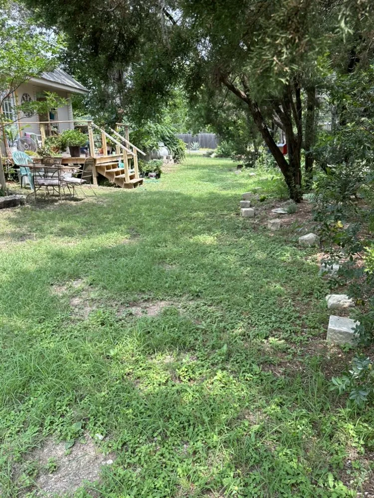 Local outdoor landscaping for year-round maintenance in Leander, TX by Alvarez Lawn Care Services